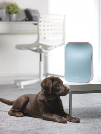 Dimplex DXAPV3N do 28m² biurkowy