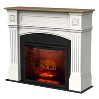 OUTLET: Dimplex Haydn wkład 30" ECO LED z efektem Revillusion - biały